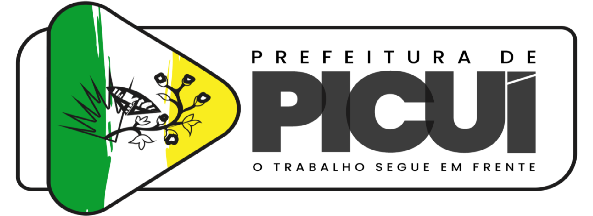 Prefeitura Municipal de Picuí